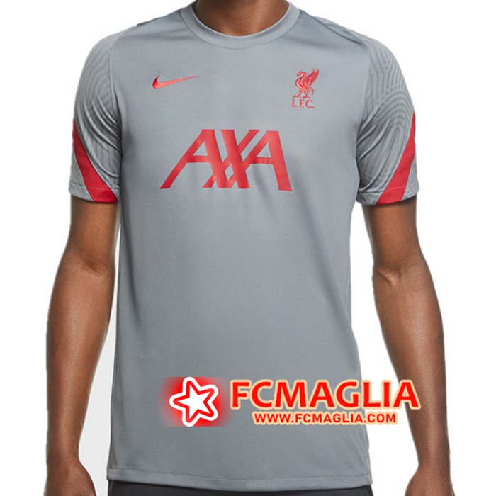 T Shirt Allenamento FC Liverpool Grigio 2020/2021