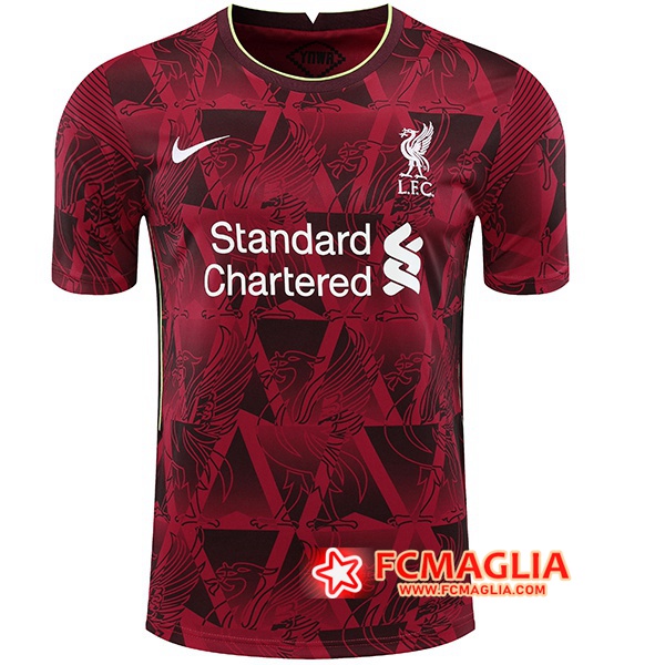 T Shirt Allenamento FC Liverpool Rosso/Bianco 2020/2021