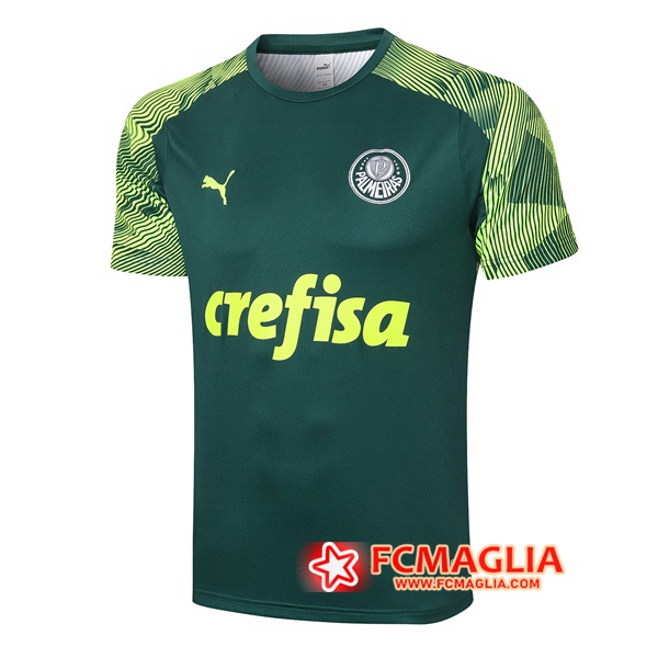 T Shirt Allenamento Palmeiras Verde 2020/2021