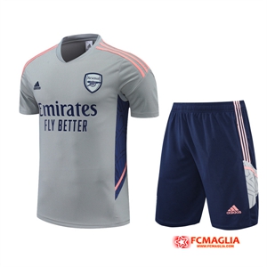 T Shirt Allenamento +Pantaloncini Arsenal Grigio 2022/2023