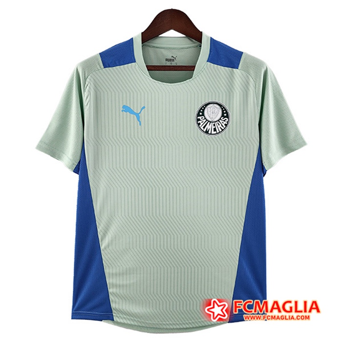 T Shirt Allenamento Palmeiras Verde 2022/2023